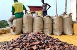 Le 10 avril dernier, la Côte d’Ivoire a menacé de prendre des mesures pour rendre le cacao plus cher et pénaliser les consommateurs américains de chocolat. Cette démarche est une réponse à l’annonce par l’administration Trump une semaine plus tôt, de droits de douane de 21 % sur les produits ivoiriens.