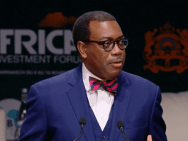 Akinwumi Adesina achève, en septembre prochain, son second mandat à la tête de la Banque africaine de développement.