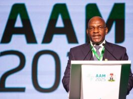 Mr. Denys Denya, Senior Executive Vice President, Afreximbank