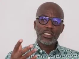 DIA HOUPHOUËT, VICE-PRÉSIDENT DU PDCI-RDA